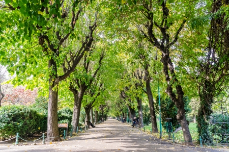 BUCHAREST, ROMANIA - OCTOBER 16  The Cismigiu Gardens on October 16, 2013 in Bucharest, Romania  Is a public park  built in 1847  downtown Bucharest, spanning areas on all sides of an artificial lake のeditorial素材
