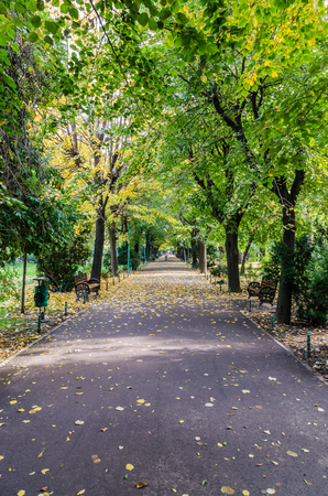 BUCHAREST, ROMANIA - OCTOBER 16  The Cismigiu Gardens on October 16, 2013 in Bucharest, Romania  Is a public park  built in 1847  downtown Bucharest, spanning areas on all sides of an artificial lake のeditorial素材