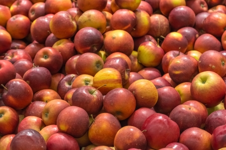 Red Apples In Fruit Market Displayの写真素材