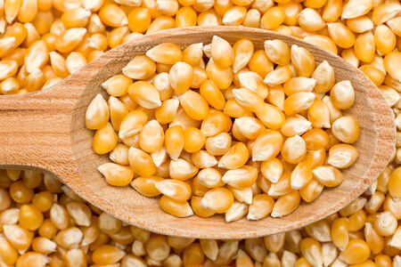 Wooden Spoon With Corn Seedsの写真素材