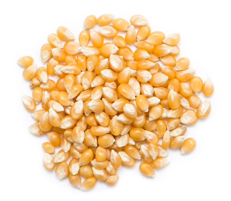 Corn Seeds Pileの写真素材
