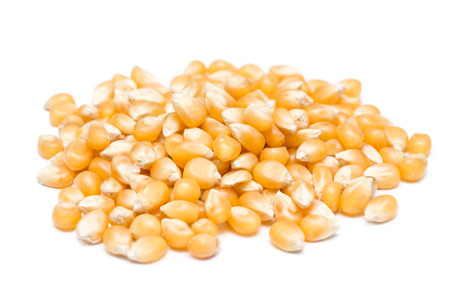 Corn Seeds Pileの写真素材