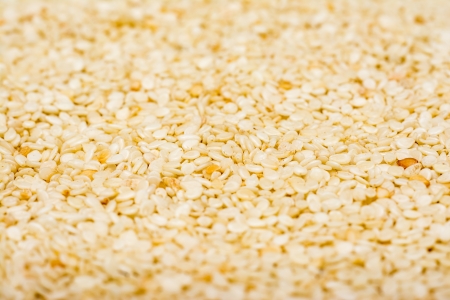 Sesame Seeds Detailsの写真素材