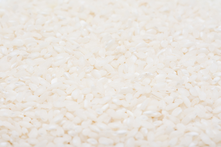 Rice Seeds Closeupの写真素材