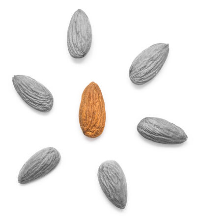 Almonds Fruits Team Leader Conceptの写真素材