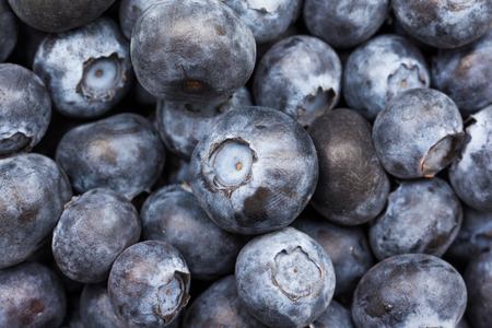 Fresh Bilberries Close Up Detailsの写真素材
