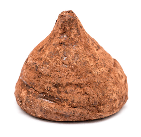 Chocolate Truffle On White の写真素材