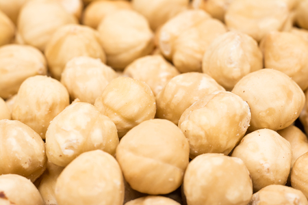 Fresh Hazelnuts Close Up Detailsの写真素材