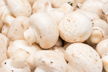 Fresh Champignon Mushrooms Pile In Market Standの写真素材