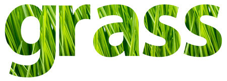 Green Grass Words Conceptの写真素材