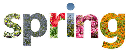 Spring Word Abstract Isolated On White Made Of Spring Flowersの写真素材