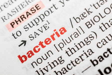 Bacteria Word Definition In Dictionary Close Upの写真素材