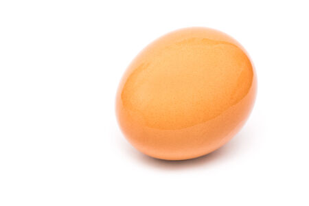 Fresh Wet Brown Chicken Egg Isolated On Whiteの写真素材