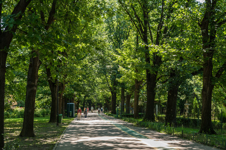 BUCHAREST, ROMANIA - JUNE 29, 2014  People Walking In Herastrau Park On Summer Day  Opened in 1939 it is the largest park of the city and is located on the northern side of Bucharest のeditorial素材