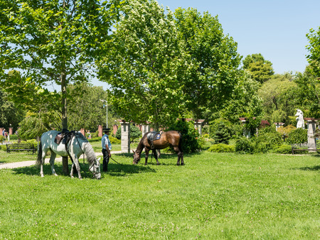 BUCHAREST, ROMANIA - JUNE 29, 2014  Equestrian Policeman With Horses In Herastrau Park On Summer Day のeditorial素材