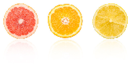 Citrus Fruits Slices Pixel Vector With Reflectionのイラスト素材