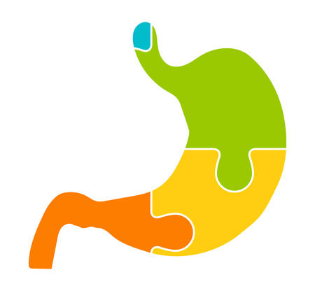 Stomach Jigsaw Puzzle Pieces Abstractのイラスト素材