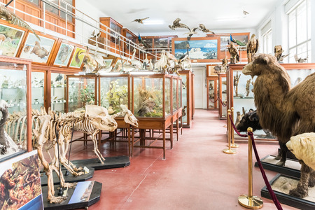 CLUJ NAPOCA, ROMANIA - APRIL 14, 2015: Interior Of Zoological Museum Of Cluj Was Built In 1859 And Has Now Over 300.000 Species Of Animals, Birds And Insects Displayed.のeditorial素材