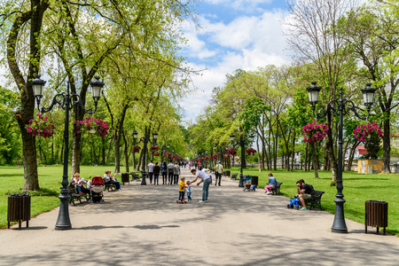 BUCHAREST, ROMANIA - AUGUST 10, 2015: People Taking A Walk On Hot Summer Day In Mogosoaia Public Park.のeditorial素材