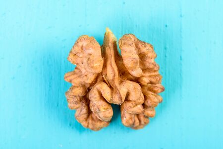 Half Walnut Kernel On Blue Background