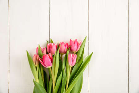 Pink Spring Tulips On White Wood Tableの写真素材
