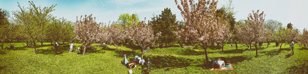 BUCHAREST, ROMANIA - APRIL 09, 2016: People Having Fun In The Japanese Garden Of Herastrau Public...