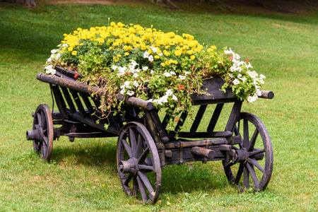 Flower Country Waggon On Green Grassの写真素材