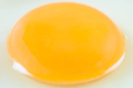 Chicken Egg Yolk Close Upの写真素材