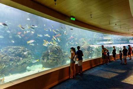 VALENCIA, SPAIN - JULY 29, 2016: L'Oceanografic (The Oceanographic) is an oceanarium situated in the east of the city of Valencia, where are represented different types of marine habitats.のeditorial素材