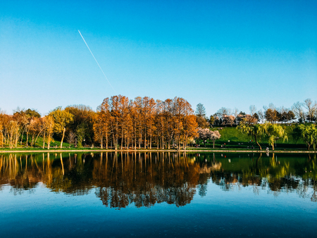Beautiful Spring Trees Reflections In Water Lake Of Tineretului Park In Bucharest, Romania.の写真素材
