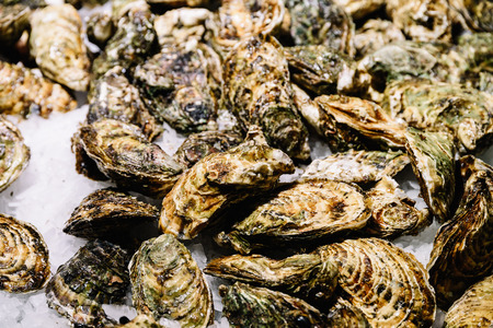 Fresh Fishes And Seafood On Ice In Fish Marketの写真素材