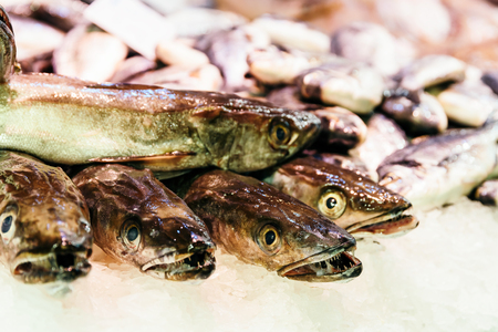 Fresh Fishes And Seafood On Ice In Fish Marketの写真素材