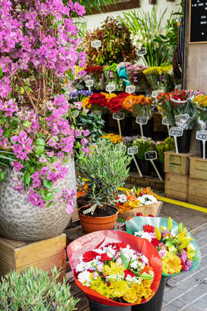 BARCELONA, SPAIN - JUNE 04, 2019: Flowers Market Store In Downtown Barcelona Cityのeditorial素材