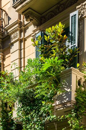 Vintage Facade Building Architecture With Lots Of Overgrown Green Vegetation In City Of Barcelona, Spainの写真素材
