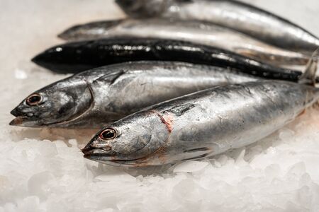 Fresh Fish And Seafood On Ice In Fish Marketの写真素材