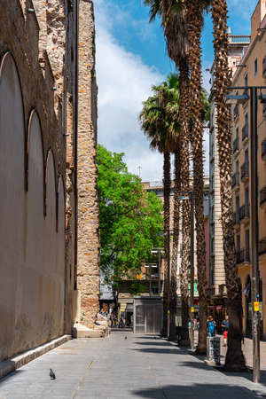 BARCELONA, SPAIN - JUNE 06, 2019: Exotic Architecture And Tropical Street Palm Trees Downtown Barcelona Cityのeditorial素材