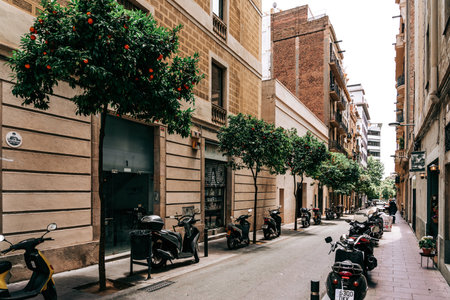 BARCELONA, SPAIN - JUNE 07, 2019: Orange Trees In Barcelona Cityのeditorial素材