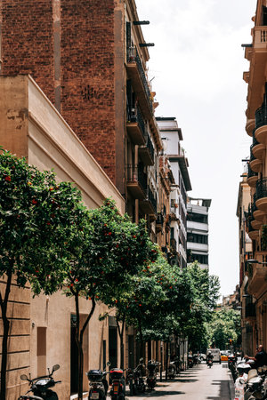 BARCELONA, SPAIN - JUNE 07, 2019: Orange Trees In Barcelona Cityのeditorial素材
