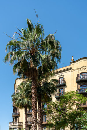 Facade Building Architecture In City Of Barcelona, Spainの写真素材