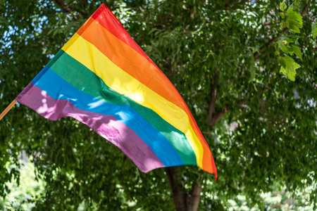 Rainbow Gay Pride LGBT Flag Waves In Wind
