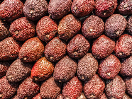 Healthy Fresh Avocado Fruits For Sale In Fruit Marketの写真素材