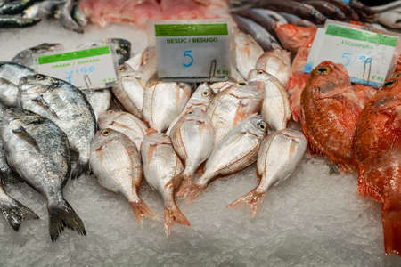BARCELONA, SPAIN - JUNE 14, 2019: Fresh Fish And Seafood On Ice In Fish Marketのeditorial素材