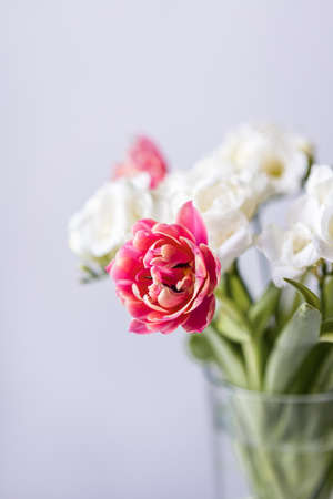 Pink Tulips Flowers Bouquet on a Light Backgroundの写真素材