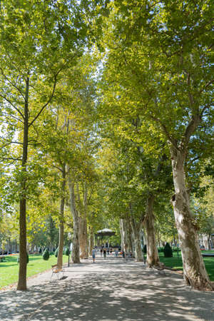 ZAGREB, CROATIA - JULY 29, 2021: People Relaxing On Summer Day In Zagreb Central Parkのeditorial素材
