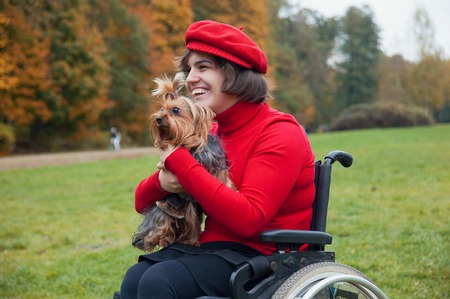 woman in a wheelchair with a Yorkshire Terrier in autumnの写真素材