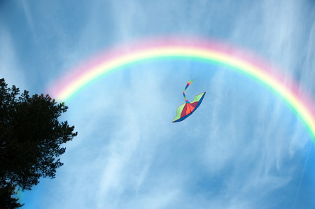 Air multicolored kite flying in the blue skyの写真素材