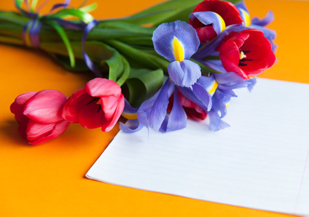 tulips and irises lie on a orange backgroundの写真素材