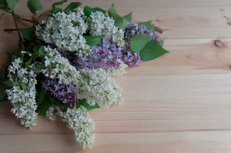lilac flowers lie on a wooden tableの写真素材