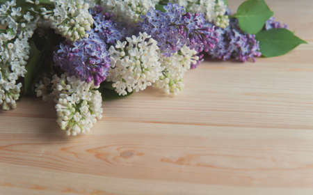 lilac flowers lie on a wooden tableの写真素材