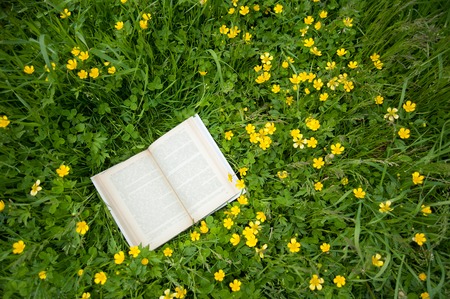 open book is lying on the grass with yellow flowers